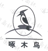 啄木鸟商标查询-义乌市盈通印刷包装有限公司-企查查