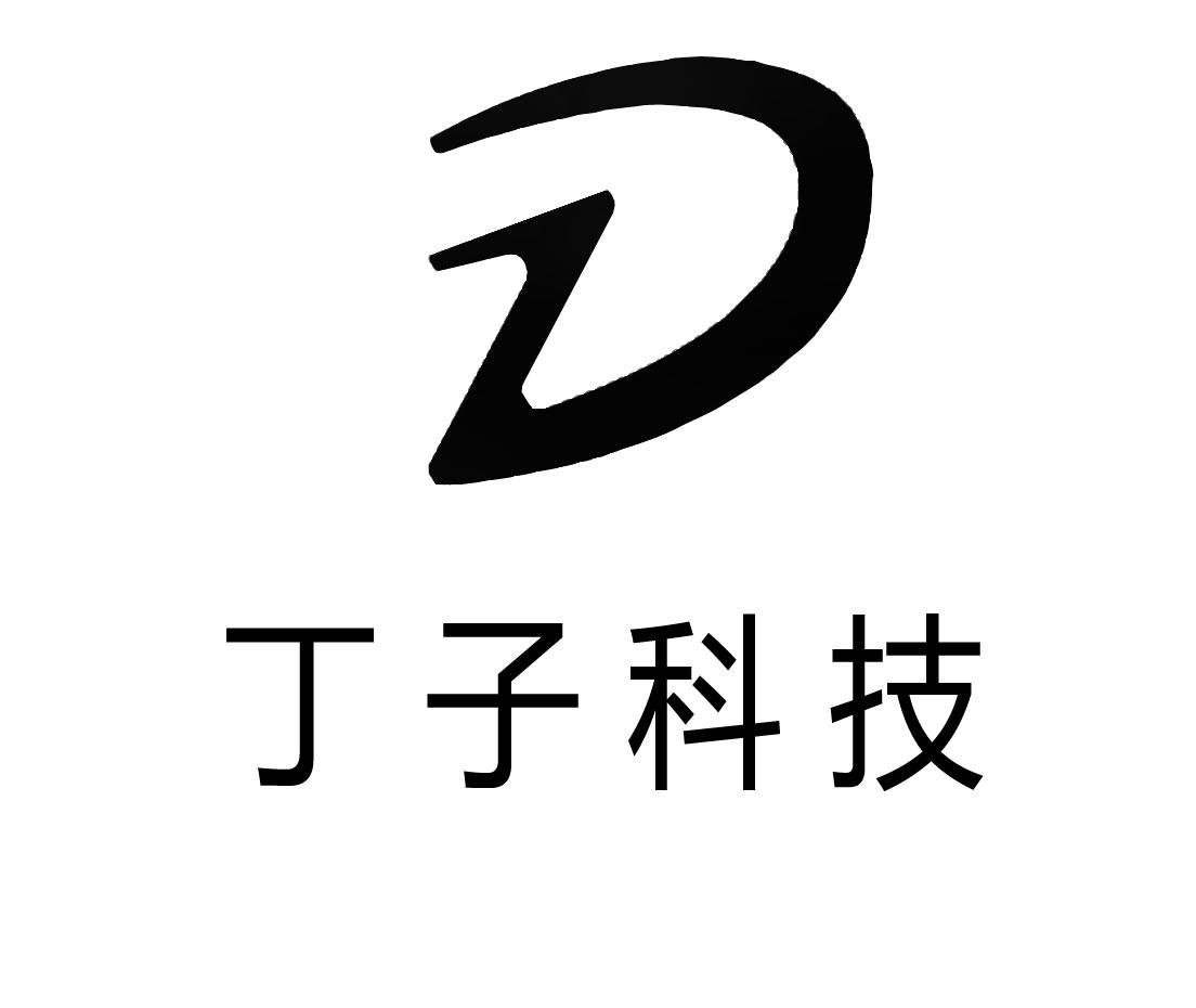 dz 丁子科技