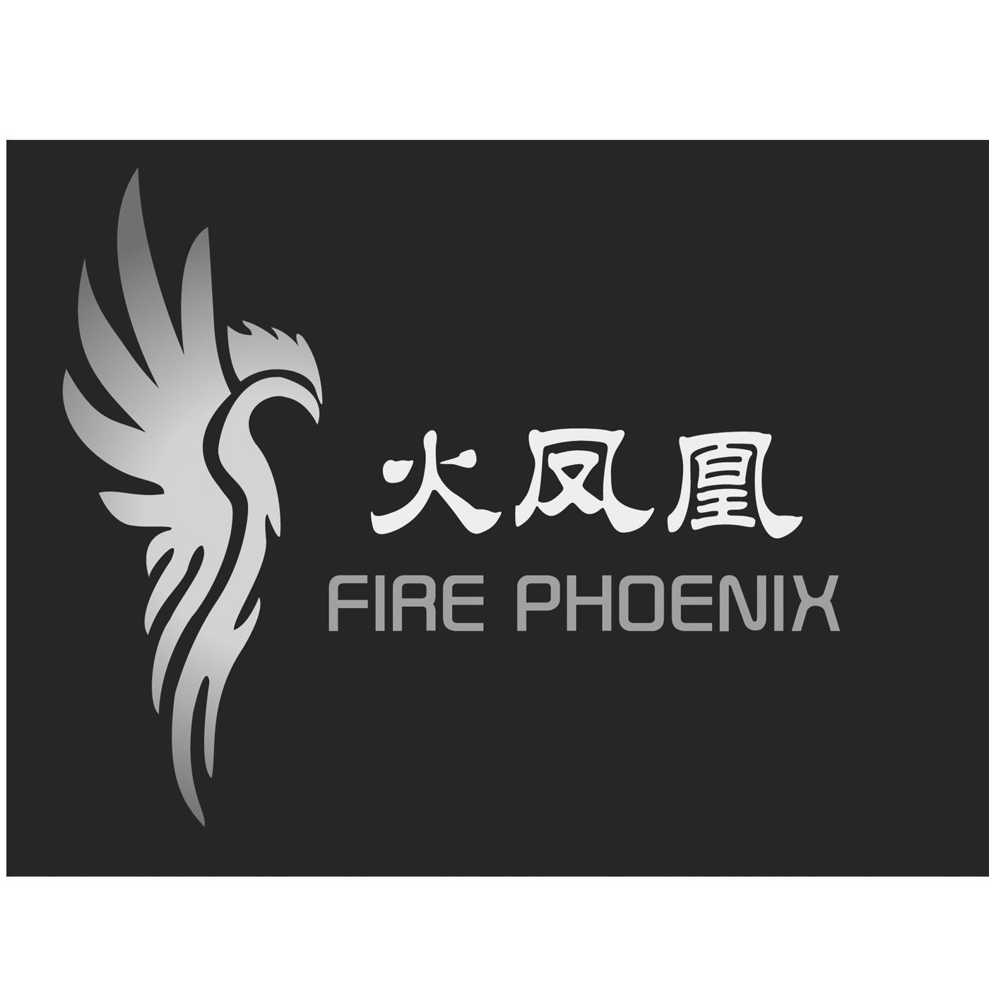 火凤凰 fire phoenix