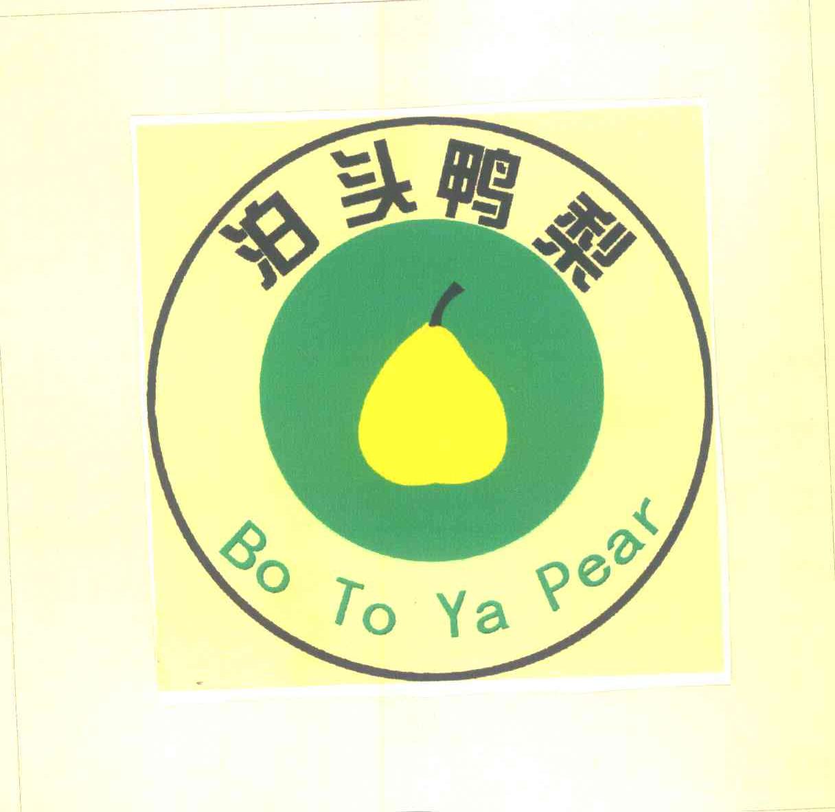 泊头鸭梨;bo to ya pear