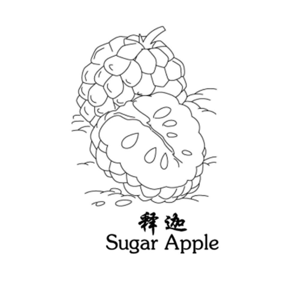 释迦sugar apple
