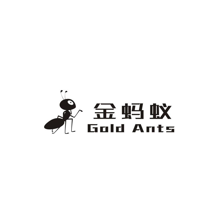 金蚂蚁 gold ants