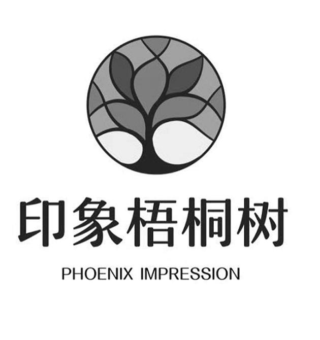 印象梧桐树 phoenix impression