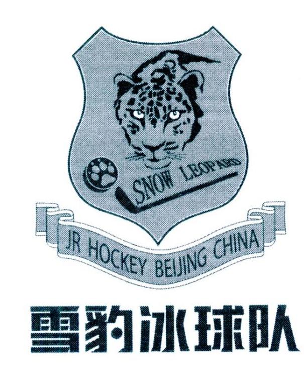 snow leopard jr hockey beijing china 雪豹冰球队