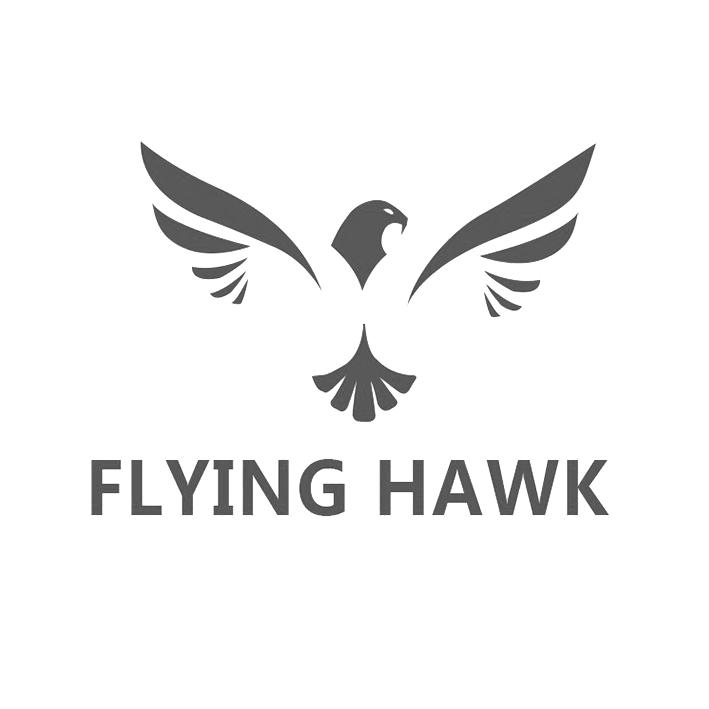 flying hawk