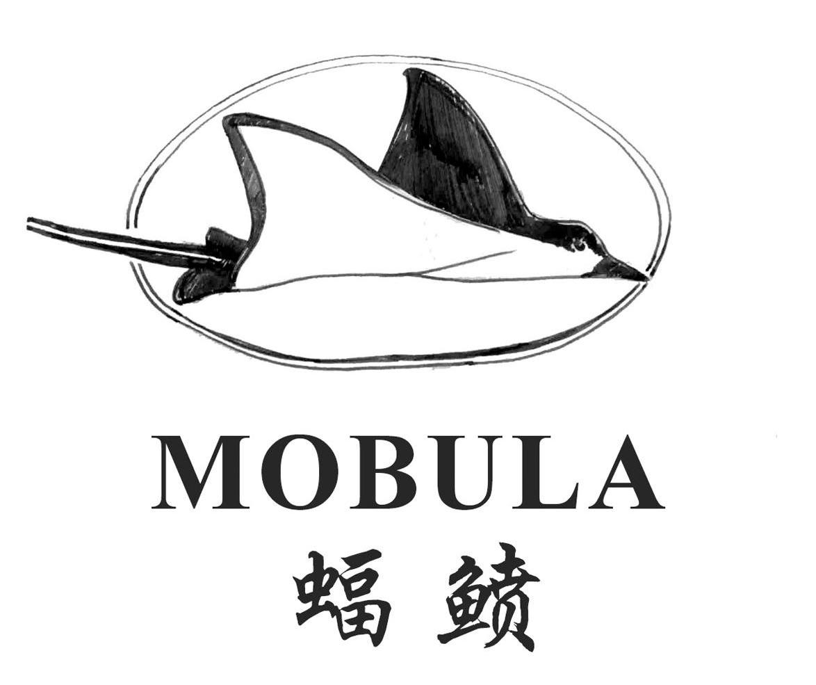 蝠鲼mobula