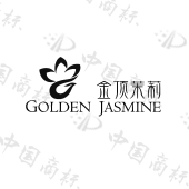 金顶茉莉goldenjasmine