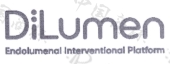 endolumenal interventional platform dilumen