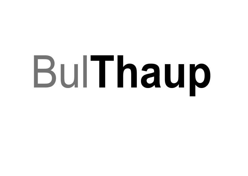 bulthaup-权查查-免费商标查询-注册商标查询网-奕宁