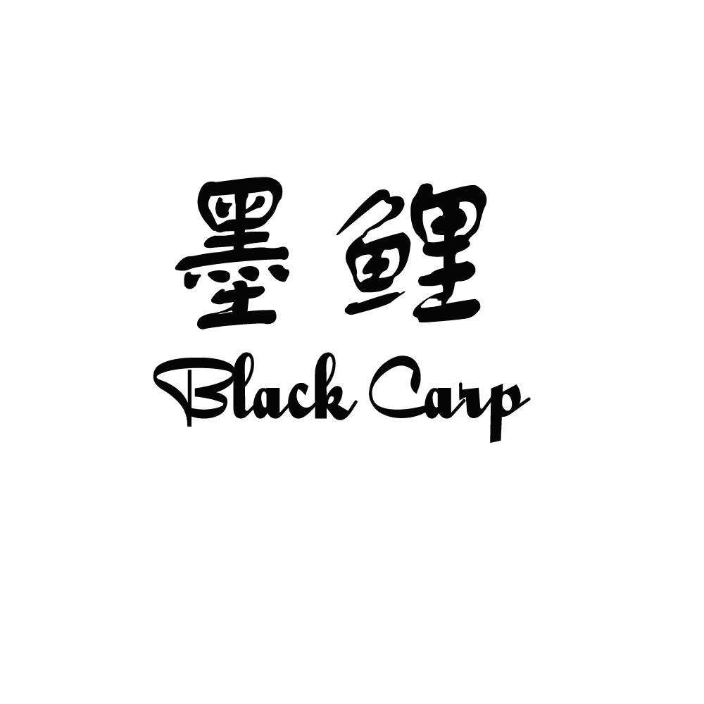 墨鲤black carp