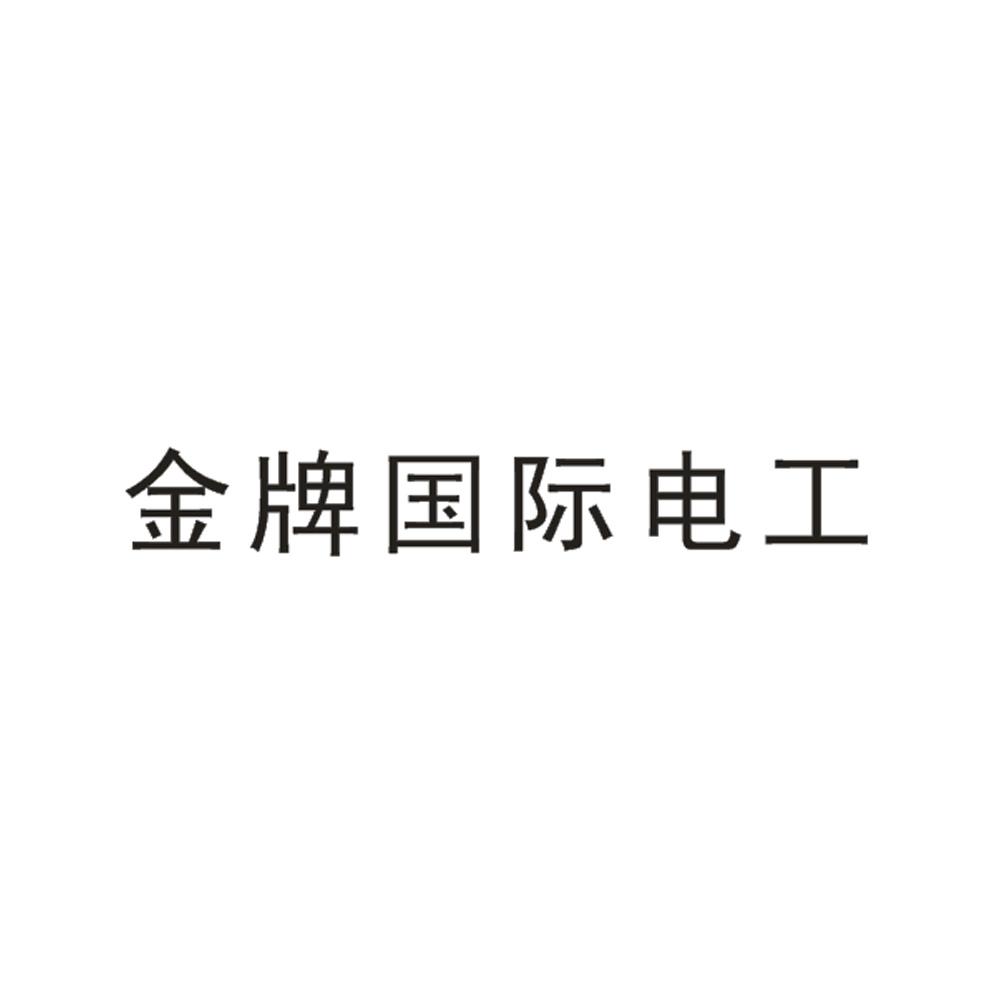 金牌国际电工