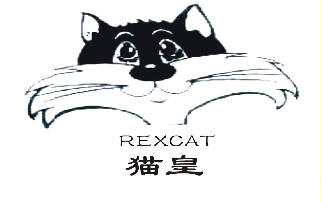 猫皇rexcat