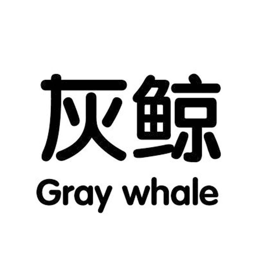 灰鲸graywhale
