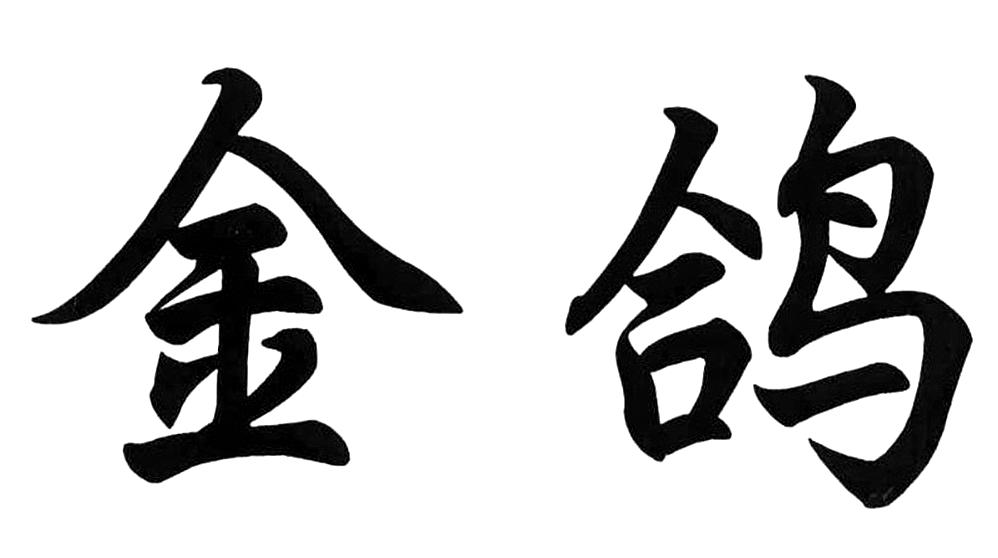 金鸽