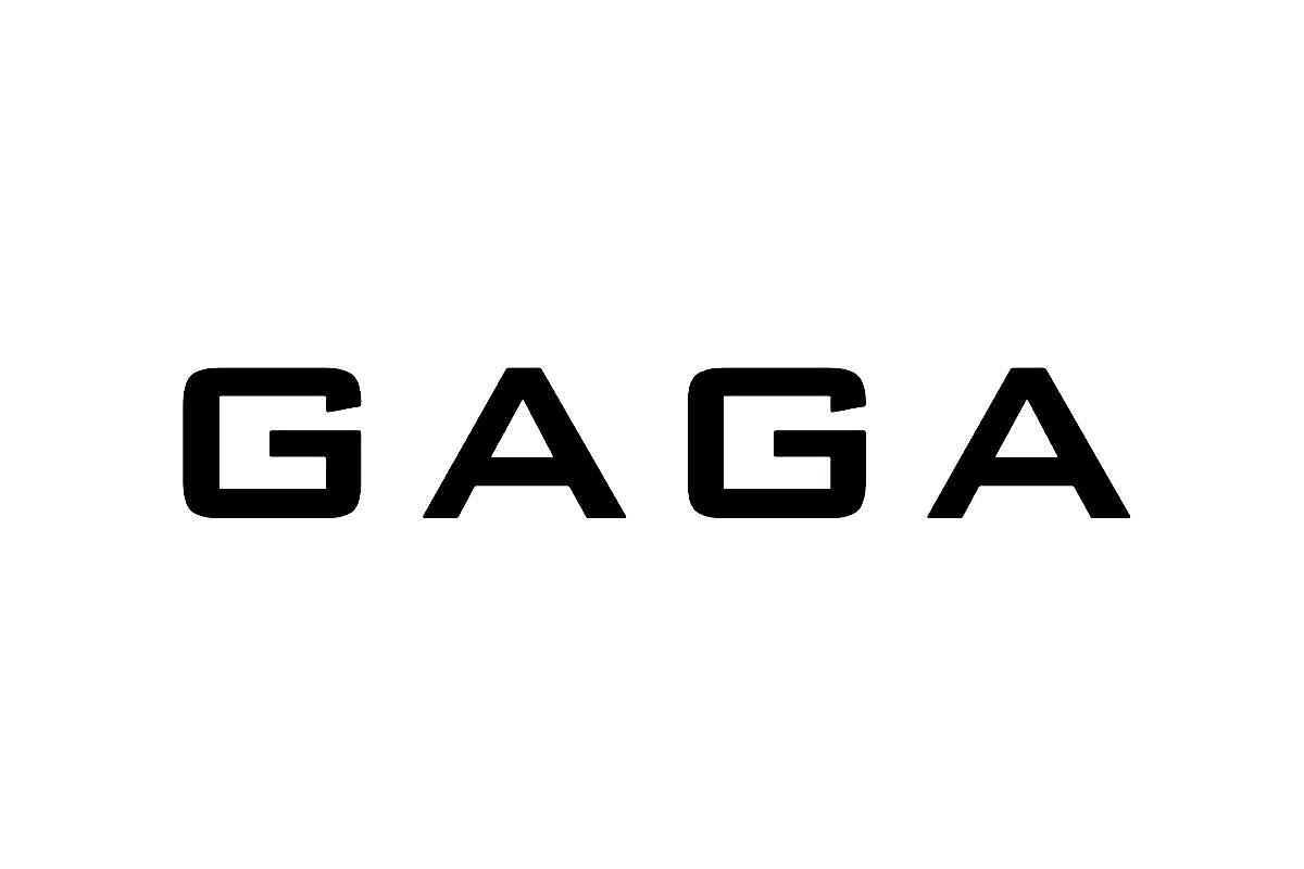 gaga-企查查