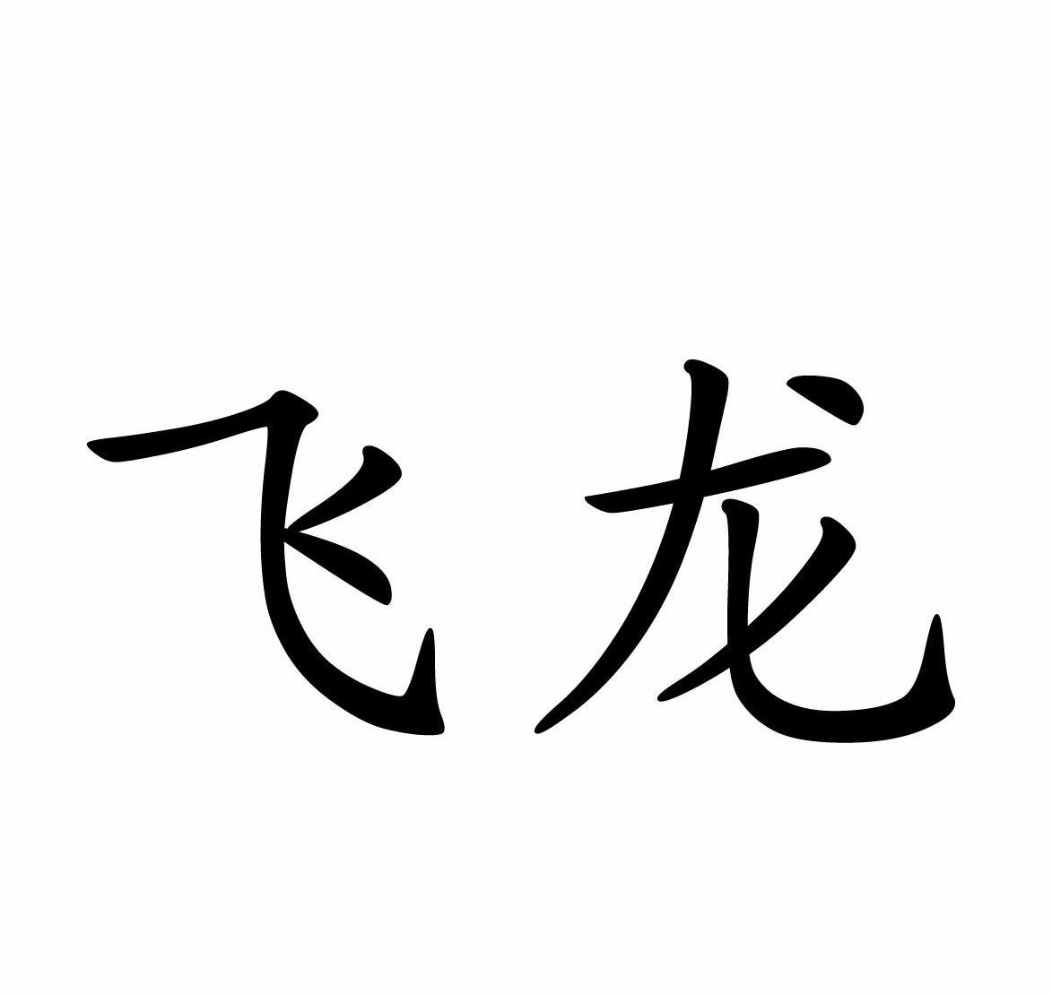 群: 0115 ; 0110 申請人名稱(中文): 重慶飛龍科技集團有限公司