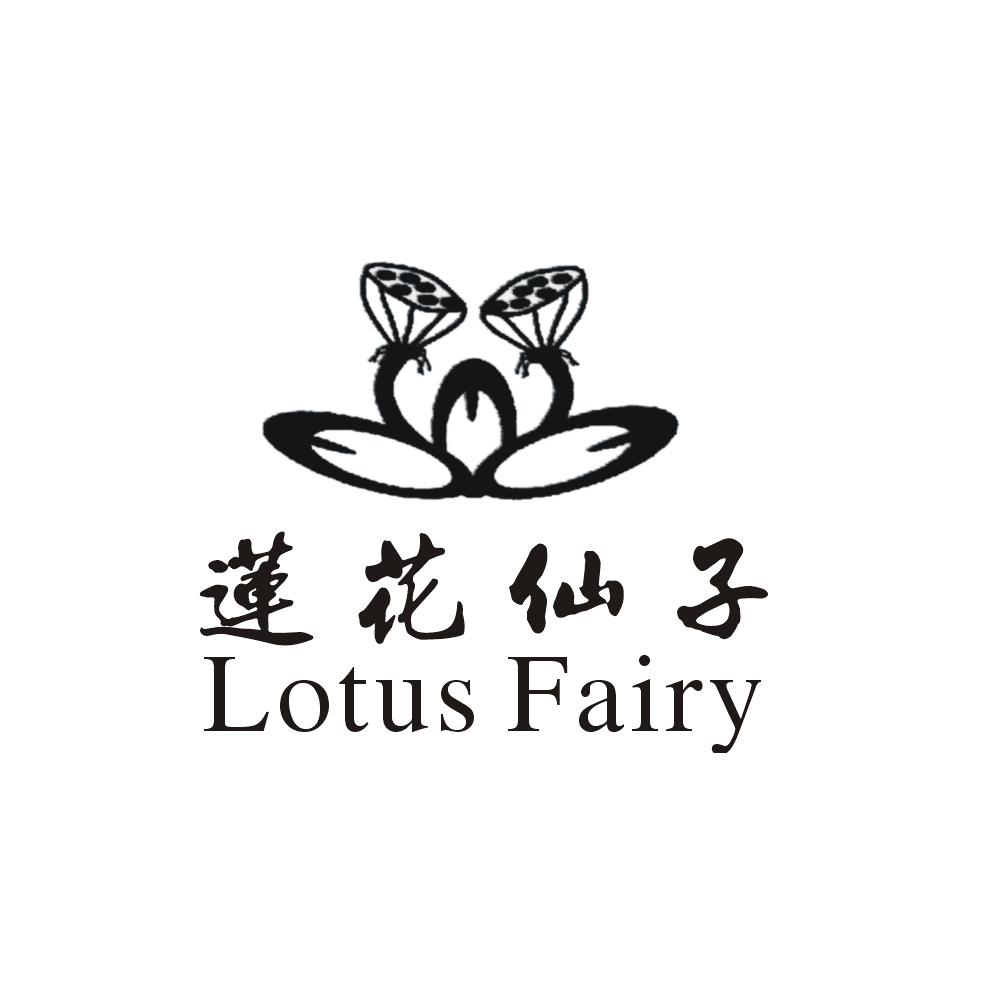 莲花仙子 lotus fairy