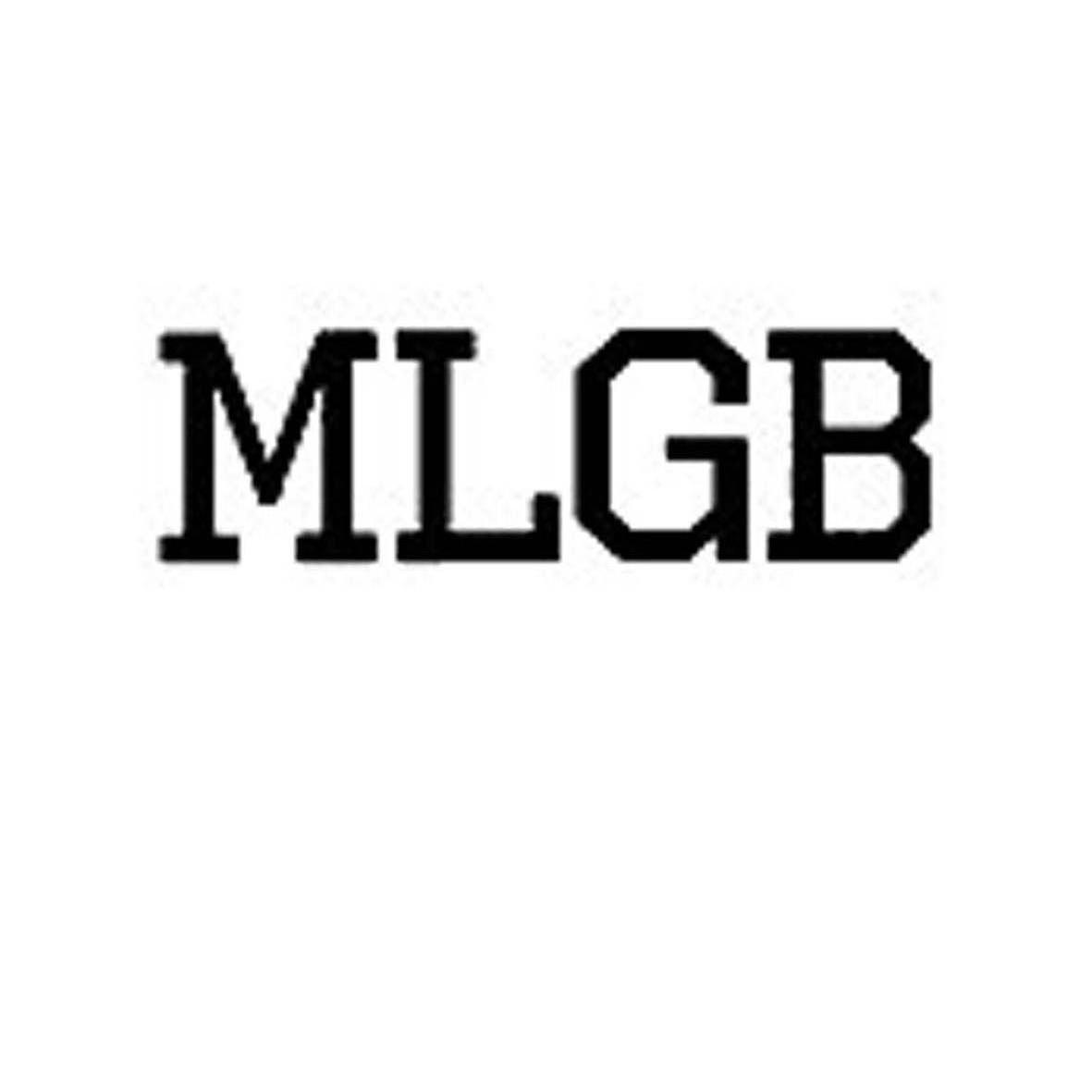 mlgblogo图片