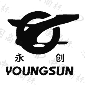 永创youngsun商标查询-杭州永创智能设备股份有限公司-企查查