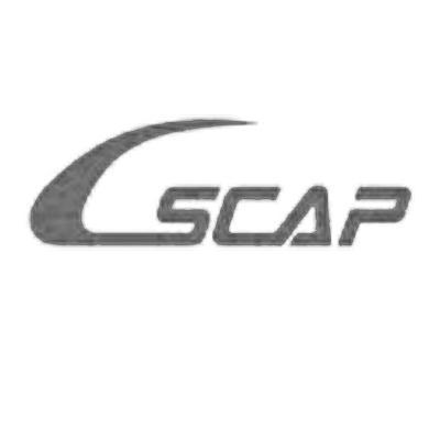 SCAP商标查询-中铝萨帕特种铝材