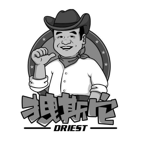 拽斯它 driest商标查询-澳纽兰(深圳)商贸有限公司-企查查