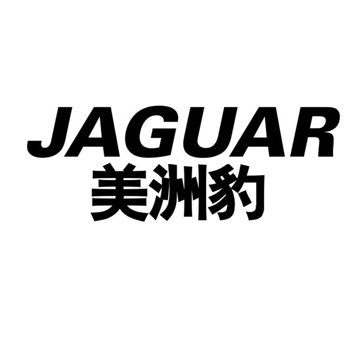 美洲豹 jaguar