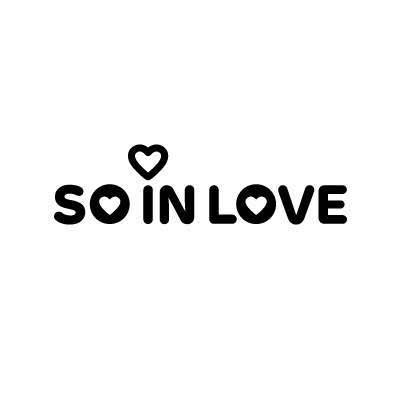 商标查询 商标查询列表 soinlove商标查询详情 商标名
