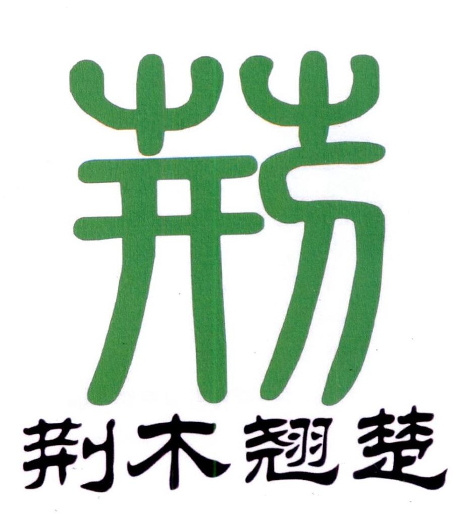荆 荆木翘楚