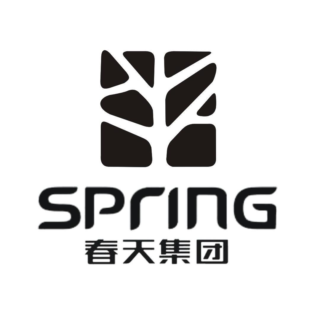春天集团 spring