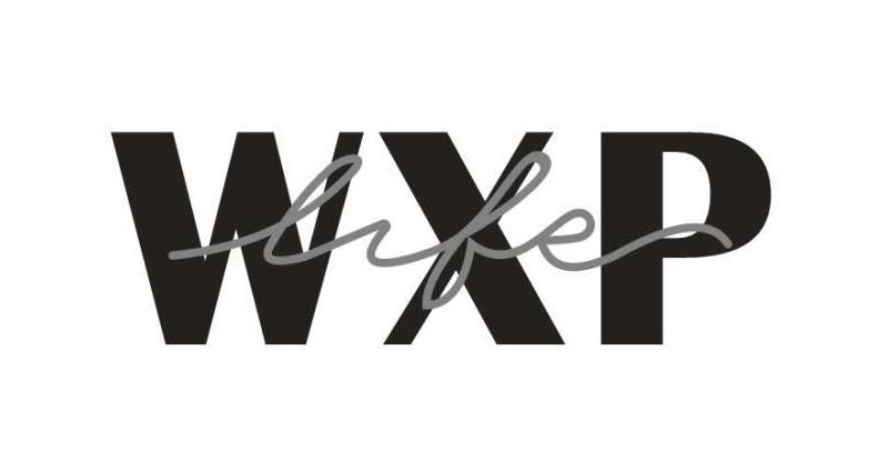 WXP商标查询